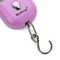 25 किलोग्राम रंगीन कुंजी अंगूठी डिजाइन मिनी डिजिटल स्केल यात्रा सामान स्केल आपूर्तिकर्ता